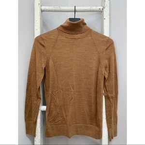 Banana Republic Merino Wool Turtleneck